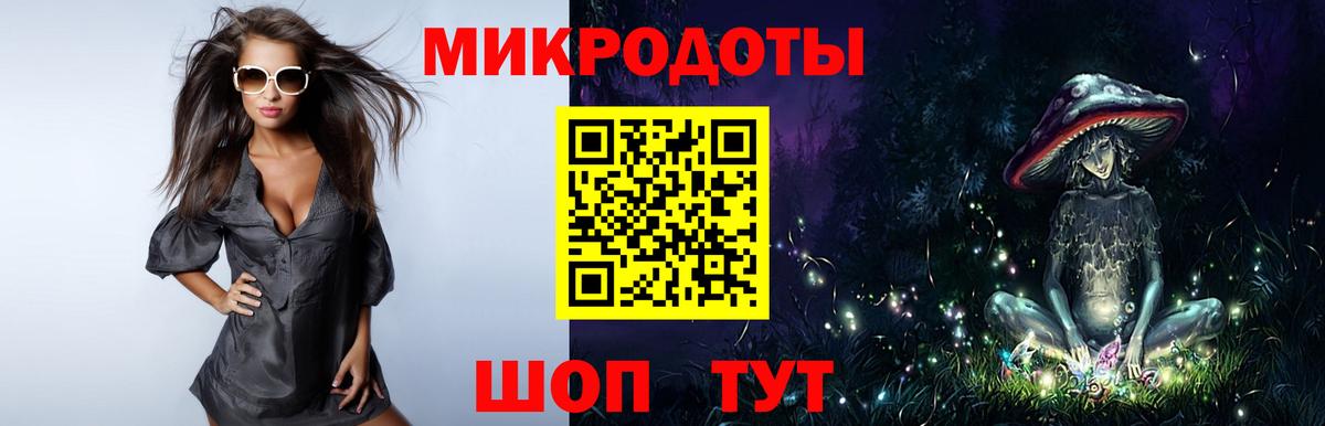 Псилоцибиновые грибы Psilocybine cubensis Саранск